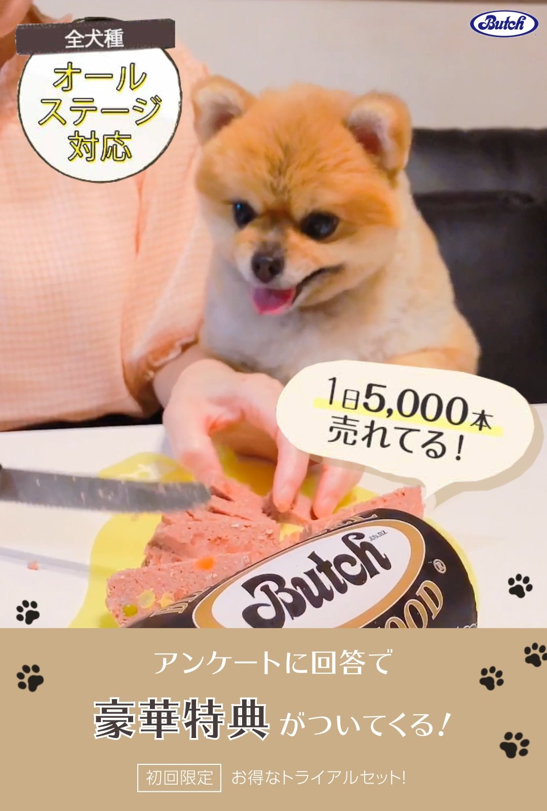ブッチ