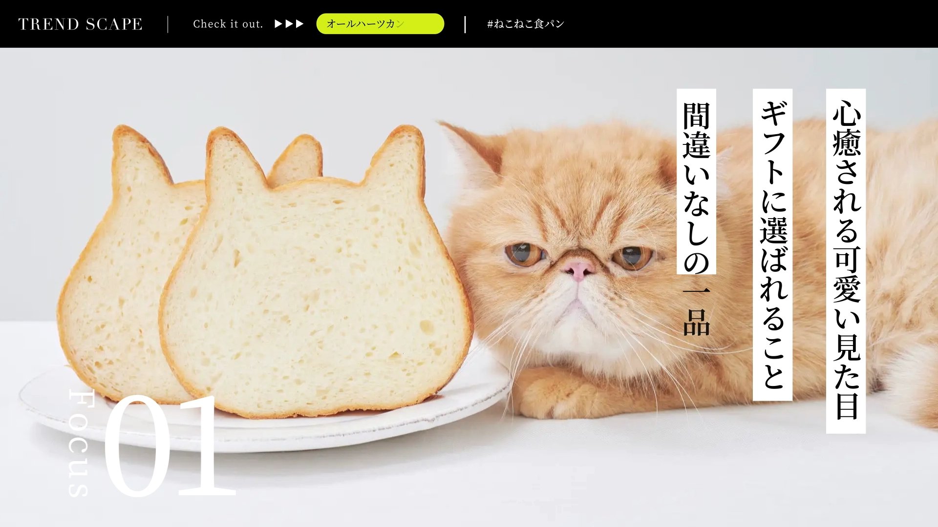 TREND SCAPE |ねこねこ食パン　オールハーツ（後半）